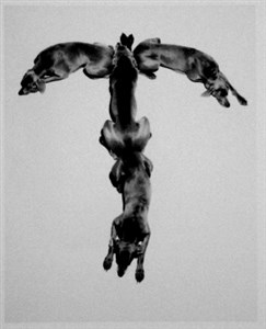 Image description is not available for 2001.078